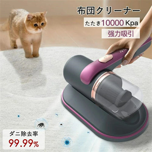 🇯🇵 Nontaus™ No.1