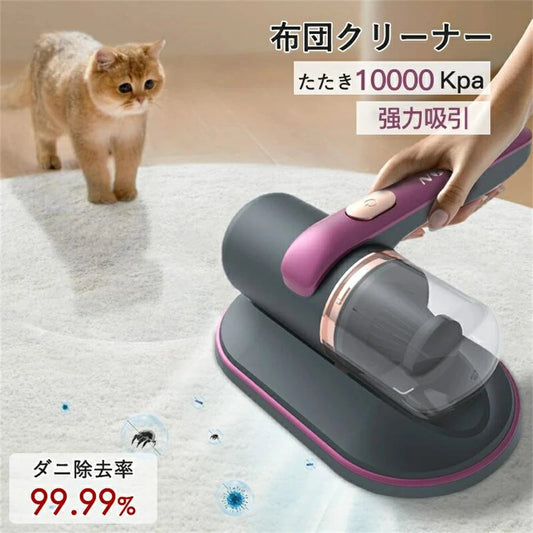 🇯🇵 Nontaus™ No.1